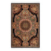 Persian Rugs - Curvilinear Pattern - Premium Silk - RugTix