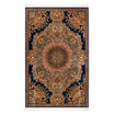 Persian Rugs - Curvilinear Pattern - Premium Silk - RugTix