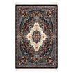 Persian Rugs - Floral Motifs Pattern - Premium Silk - RugTix